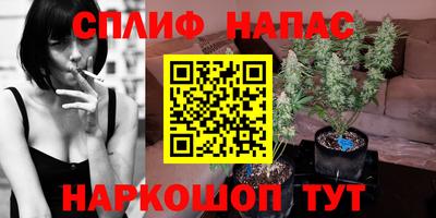 дмт Краснознаменск