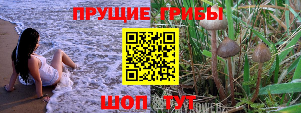 цена наркотик  Вход с VPN  Псилоцибиновые грибы Cubensis  Изобильный  Псилоцибиновые грибы мицелий 